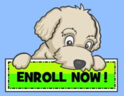 Cartoon dog looking over a sign the reads "Enroll Now!"